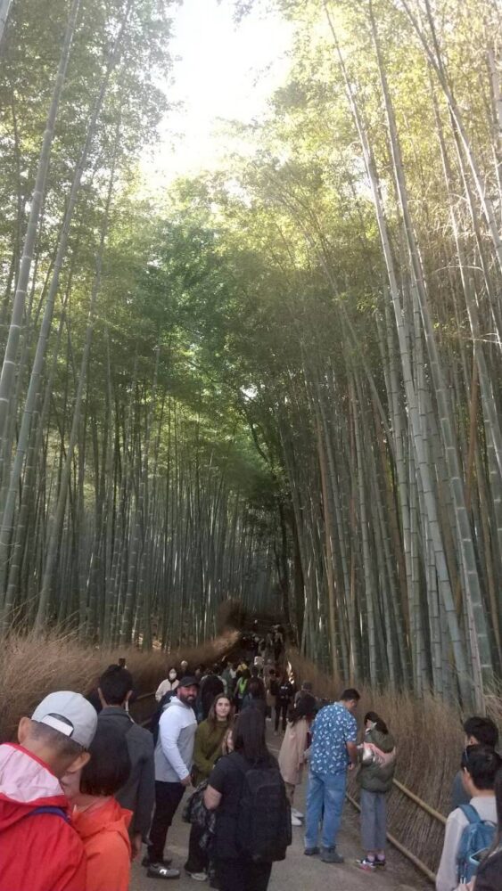 【社員旅行レポート第2弾・京都編】歴史と風情に心洗われた古都の旅