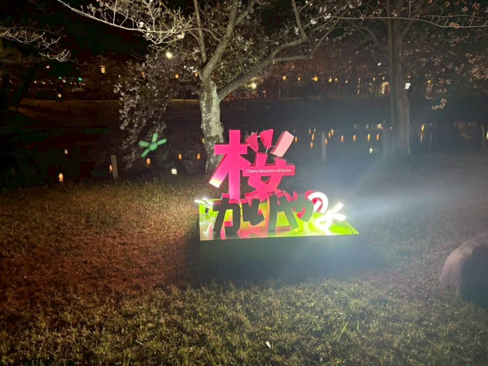 【地元・刈谷】亀城公園の夜桜に元気をもらって。